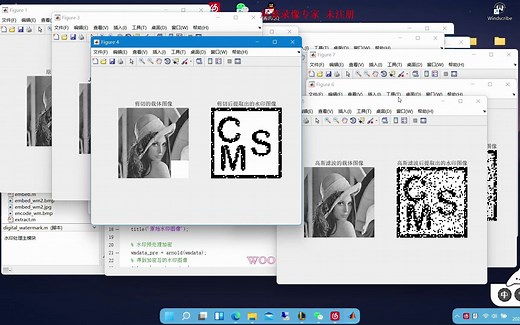 基于matlab DCT变换域的盲水印嵌入+攻击+提取