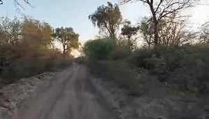 101K views · 2.6K reactions | Buen diiiaaa! Una recorrida con el amigo Nico Quinteros por los caminos monte adentro de paraje San Martin, dpto Choya. Santiago del Estero. Que tengan un lindito sábado amigos! | Amigos en el Monte | Facebook