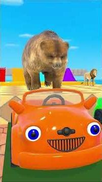 Animal Duck Color Paint