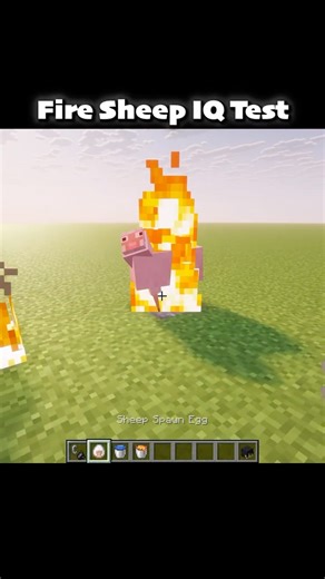 Minecraft Fire Sheep IQ Test