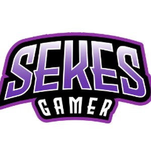sekes_gamer - Twitch