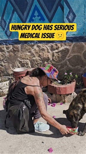 She has serious medical issues! #guatemala #adoptstrays #straydog #streetdog