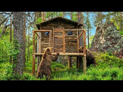 Man Builds A Shelter From Wild Animals In Deep Forest Start to Finish by ‪@turkishvikingbushcraft‬