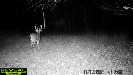 Travis Turner on Reels