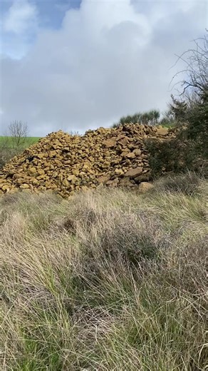 Le tout ramassé à la force du muscle ! #agriculture #caillou