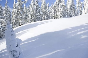 Image Watermark Remover Online Free