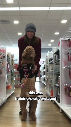 What does a service dog do for PTSD? #servicedog #ptsd #ptsdservicedog