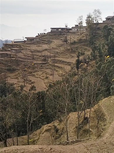 Exploring Gojri Culture Through Traditional Geets