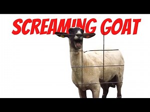 Goat Screaming Meme | Meme Template HD Download | TheMemician