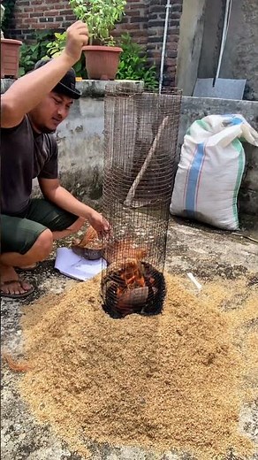 DIY Biochar from Rice Husks (Eco-Friendly) #shorts #youtubeshorts #gardeningtips
