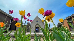 Here's what two different forecast models predict for spring 2025 in Wisconsin