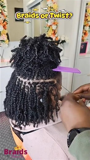 Start your Microlocs Journey with Braids vs Twist