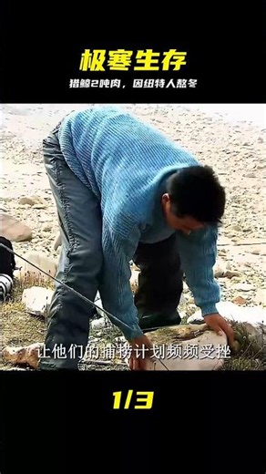 因紐特人設計捕獵獨角鯨，接近2噸的鯨肉可以讓他們熬過寒冬 #因纽特人，独角鲸，极寒，捕猎，生存