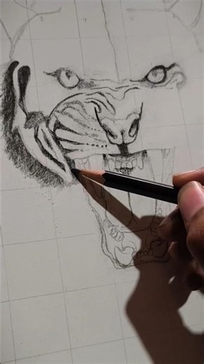 #Tiger drawing 🥰
