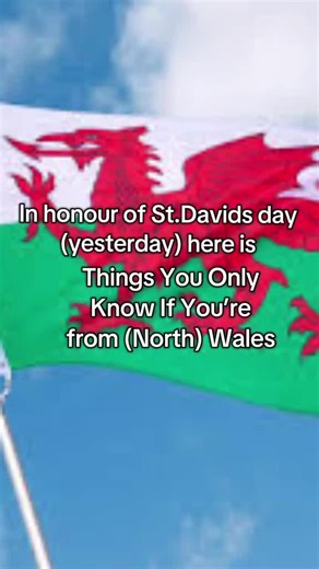 POV: you only understand this if you’re North Welsh 😂🏴󠁧󠁢󠁷󠁬󠁳󠁿 In honour of St David’s Day — the accents, the sayings, the chaos… and confusing literally everyone else in the UK 🇬🇧 If you know, you KNOW. #StDavidsDay #NorthWales #WelshHumour #OnlyInWales #Cymru