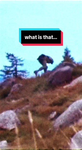in 1988, hikers near Whistler caught terrifying footage of bipedal humanoid alien creature running near trail real or hoax? #alien #bc #canada #canadian #cryptid
