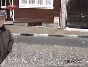 100K views · 1.7K reactions | Şöyle tekrar gelsen ne yapabiliriz ki! | Yedi Numara | Facebook