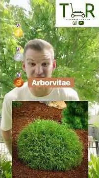 BEST SHRUBS FOR THE FRONT OF YOUR HOUSE