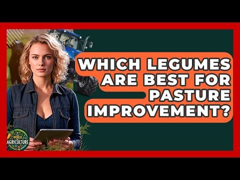 Which Legumes Are Best For Pasture Improvement? - The World of Agriculture