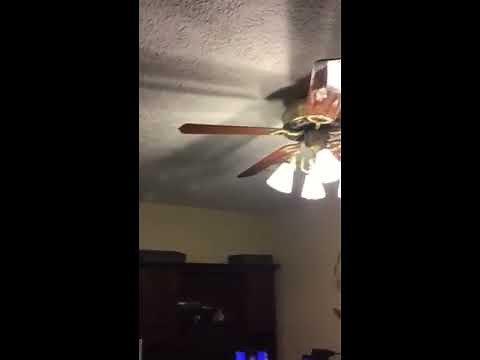 Wave Home Ventilation