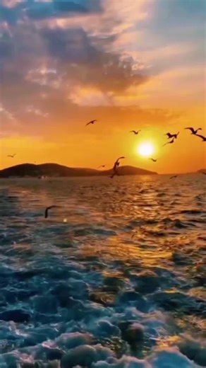 scenic view you like to look at #January Trends