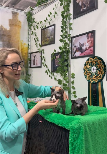 Exploring the Devon Rex Breed with Anna Rudakova