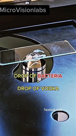 “Microscope Shows Vodka Secrets 😱