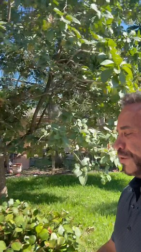 OPEN HOUSE TODAY! 🏡🔥 12PM – 3PM 📍 325 NE 34th St, Oakland Park Come tour this stunning 3 bedroom, 2 bathroom, 1500 sq ft pool home built in 2017 — just minutes to Wilton Drive and a quick ride to the beach! ✨ High ceilings ✨ Open, spacious layout ✨ Heated pool & tropical backyard ✨ Move-in ready ✨ Offered at only $599,900 Don’t miss this rare opportunity! Stop by today — I’ll be there to show you around. Andrew Verdi Coldwell Banker | 34 Years Experience Ranked Top 1.5% Realtors Nationwide ht