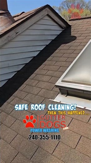 This Happened at a Roof Cleaning service in PG County