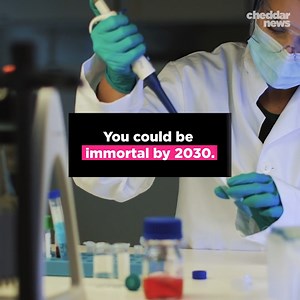 A former Google engineer has predicted that humans will achieve immortality in just seven years. #immortality | Cheddar Gadgets