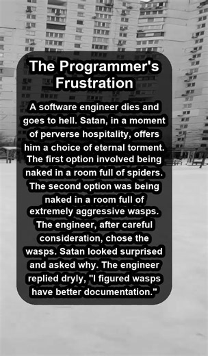 The Programmer's Frustration #shorts