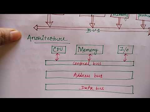 bus structure in hindi | Lec-10 | COA | Niharika Panda