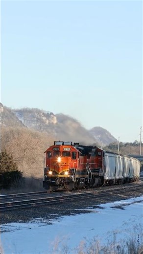 Late Afternoon Winter Sun #shadows