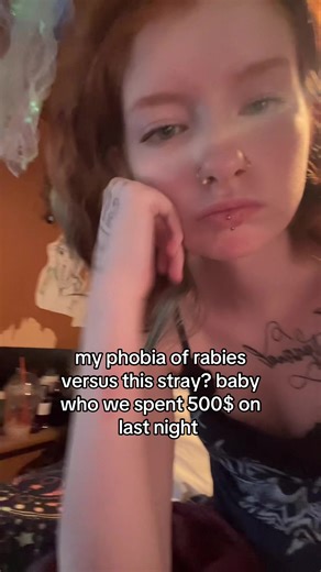 Sweet Stray Cat Rescue Story