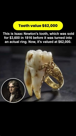Newton tooth value $62,000. #shortsfeed #newton #rare artifact