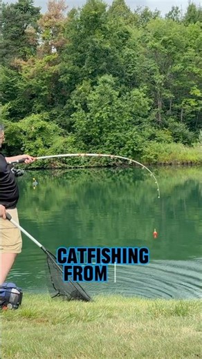 Catfishing From The Bank Tips And Tricks! #shorts #fishing #catfish