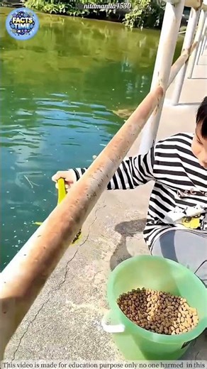 Watch till the end 🤯 | #shorts #viral