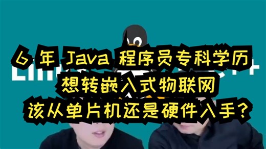 6 年 Java 程序员专科学历，想转嵌入式物联网，该从单片机还是硬件入手？