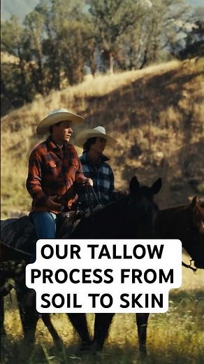 An Inside Look at How Our Beef Tallow is Made