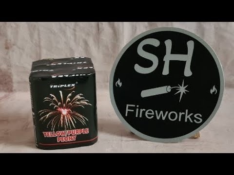 Triplex Yellow Purple Peony