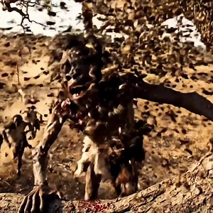 Life 3 Million Years Ago_ The Prehistoric Battle for Honey_ Giant Bees vs Homo Habilis 🐝🍯🦴🔥 | Viral video bhabhi