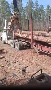 load em up..#tigercat ##loaderman #logging