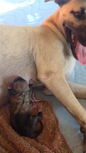 Frank Miller on Reels