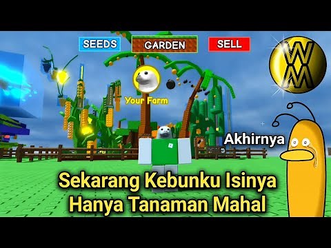 Akhirnya Kebunku Lebat Seperti Punya Anu RTP Di Grow A Garden