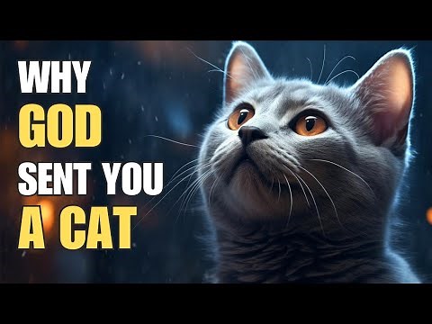 😺 Why God sent you a cat | Feline spirituality