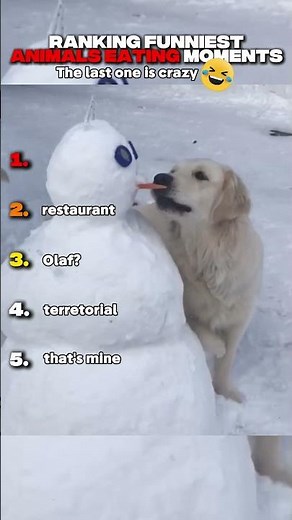 You Won't Believe How These Animals Eat!