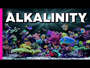 Are you doing Alkalinity Correctly?