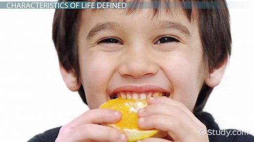 You must c C reate an account to continue watching