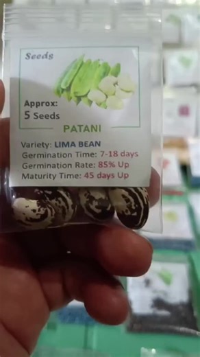 Itaas ang Ani: Patani Seed Planting Guide