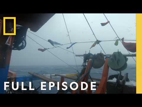 What is the Typhoon Alley? (Full Episode) | Gathering Storm | National Geographic